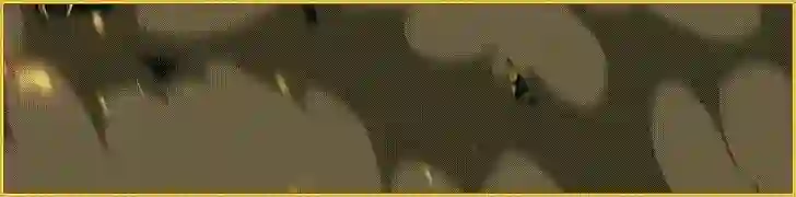 TOTO88